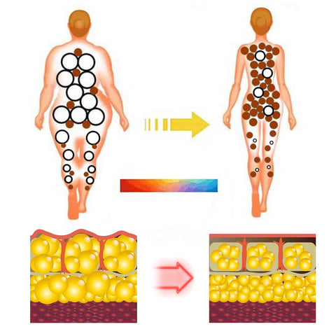 Juxek® GLP-1 Metabolic Balance Patches 2.0 | Natural Ingredients | NPN Certified|