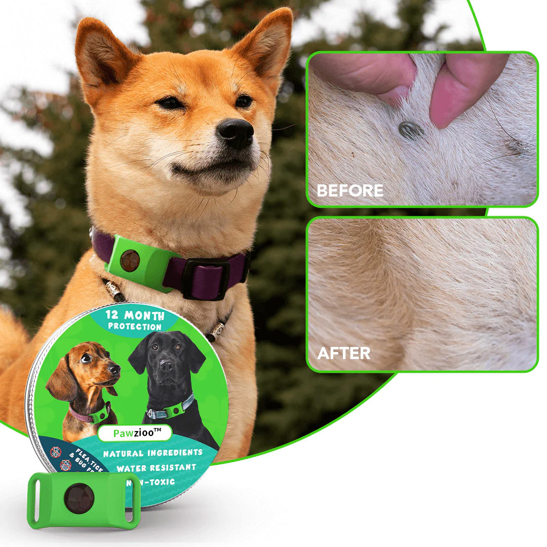 Pawzioo™ 12 Months Flea and Tick Free