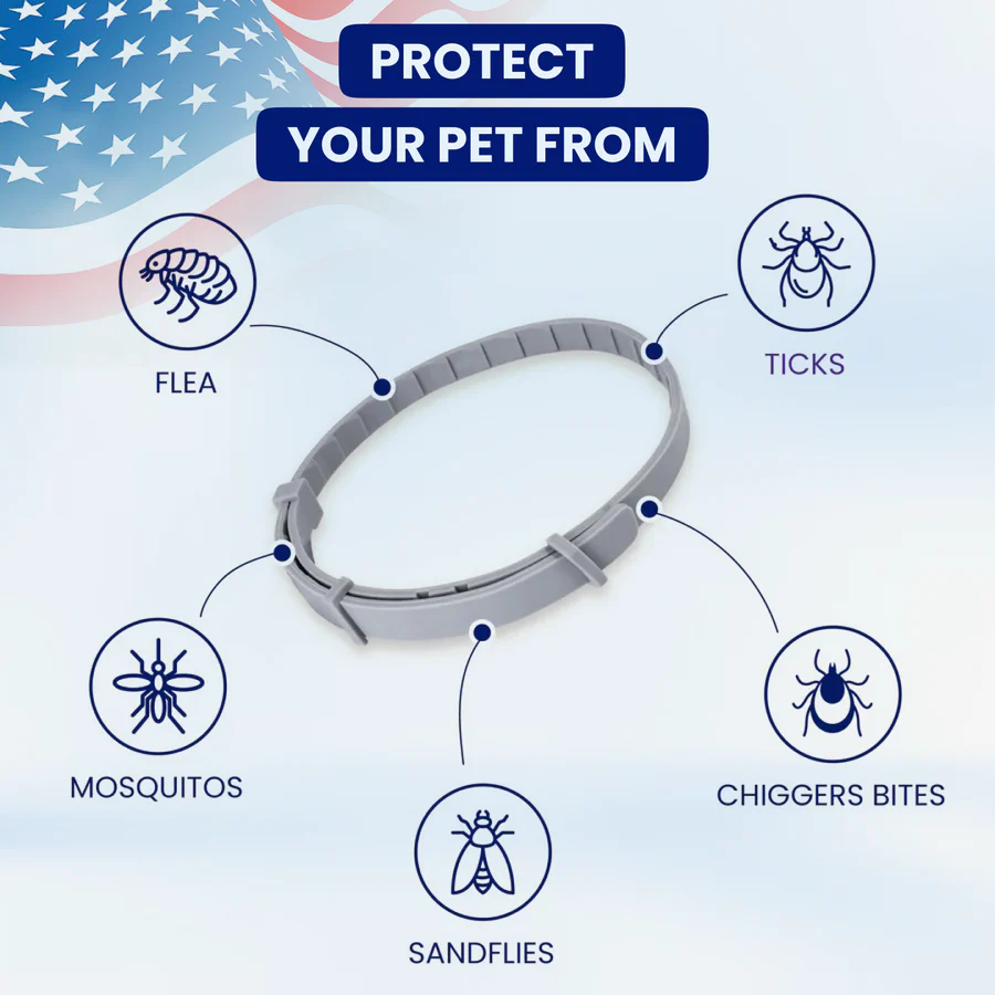 Vets and 20,000+ Satisfied Customers Recommend Pawzioo Pure-Shield!